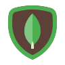 Mongo DB Icon