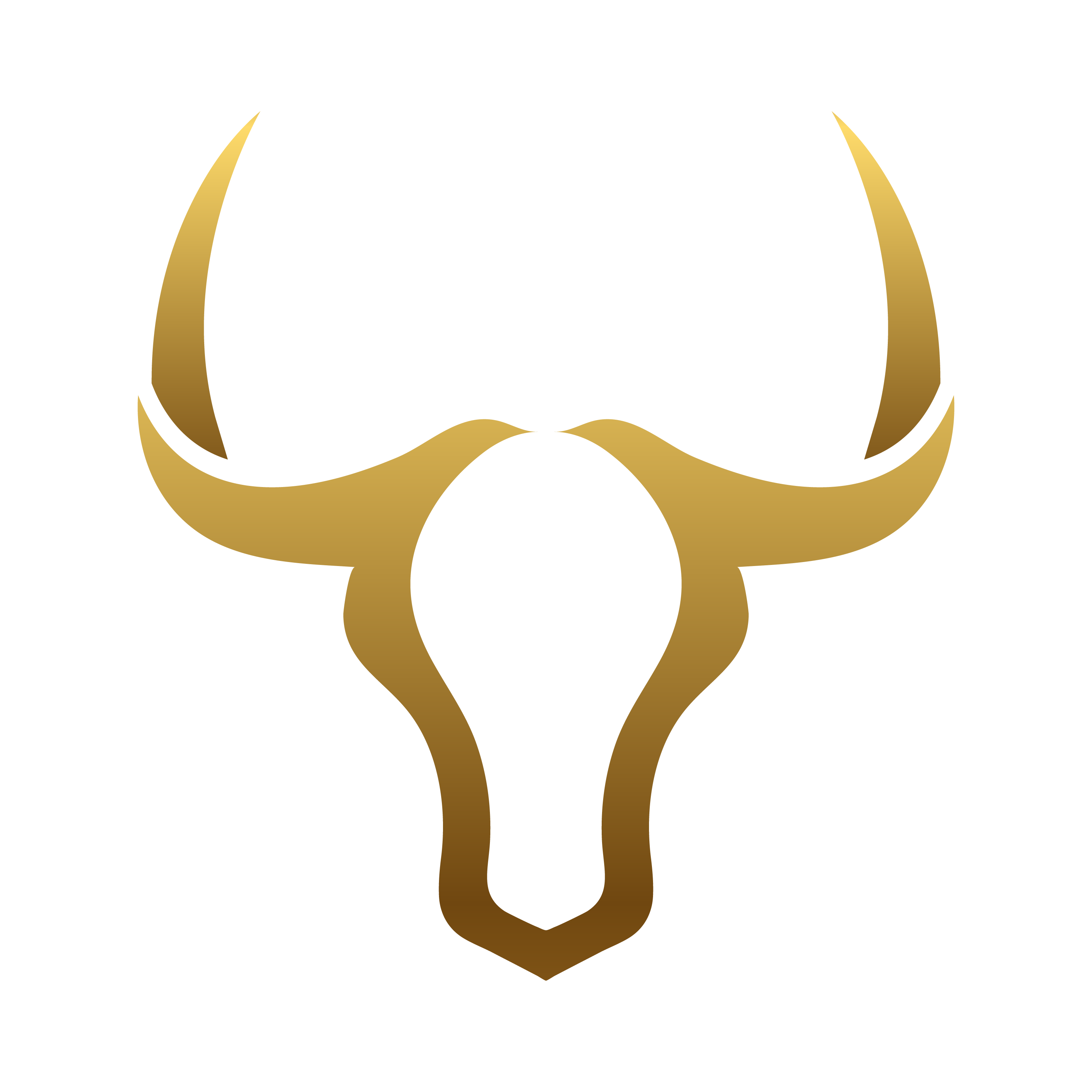 Win - Web Developer Logo